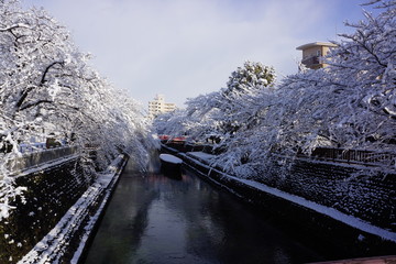 大垣水門川住吉灯台