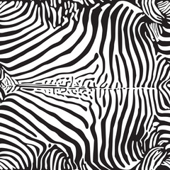 Fototapeta na wymiar zebra print pattern