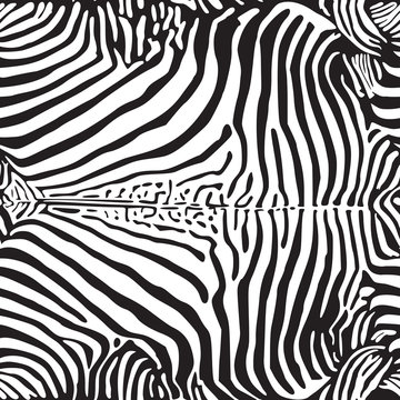 zebra print pattern