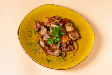 Fried meat with onions on plate