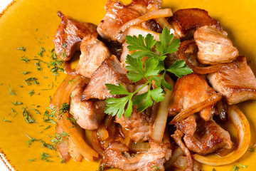 Fried meat with onions on plate