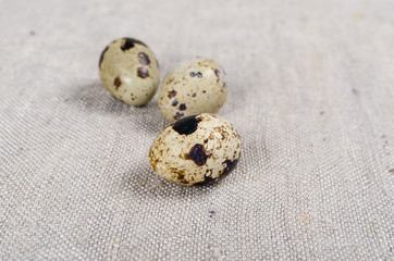 Food: group of quail eggs