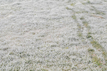 Fresh snow cover over green grass on lawn. Snowy outdoor field.