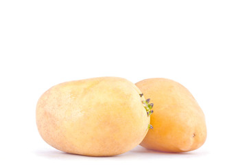  fresh  potatoes tubers on white background healthy potato Vegetable food isolated

