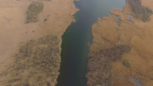 Aerial view of a small river and reed. ecology of the planet.