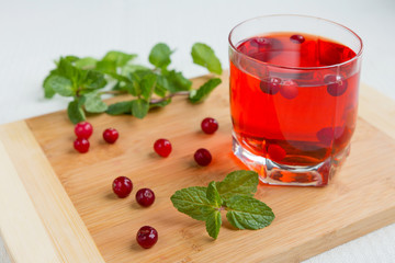 Fresh juicy cranberry and mint juice, close-up