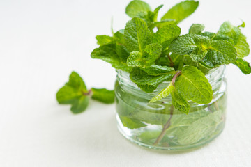 Bouquet of fresh mint in a container close-up on a light background
