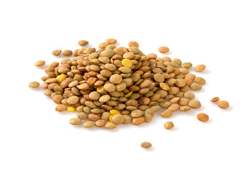 lentils isolated on white
