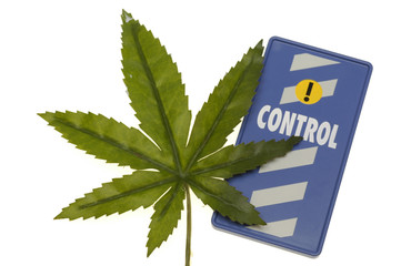 Cannabis leaves, symbol sign for state controle, legalisation, d
