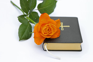 Gesangbuch mit orangegelber Rose vor weißem Hintergrund
