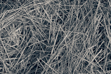 dry field grass after the storm