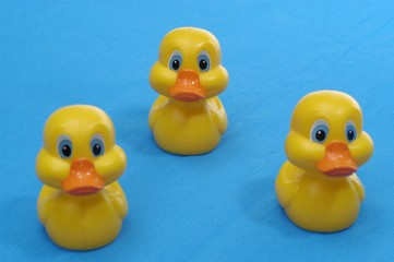 Rubber duck