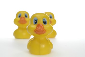 Rubber duck, hierarchy, leading position, leader