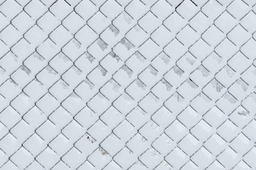 Fototapeta premium Snowy forest in Ukraine