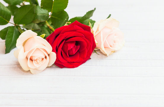 Pink and red roses lying on a white wooden vintage surface with copy space. Floral romantic spring concept. Top view. Valentines Day background.