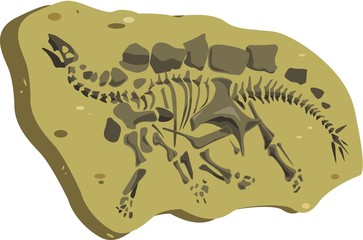 Skeleton of a stegosaurus. Vector