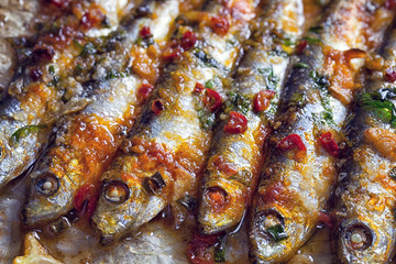 Grilled sardines on baking sheet