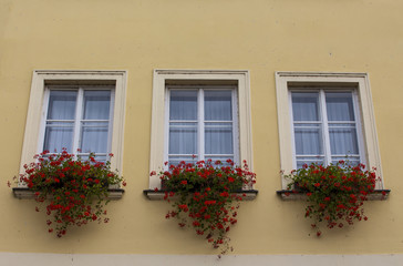 Fototapeta na wymiar Beautiful windows with flower boxes