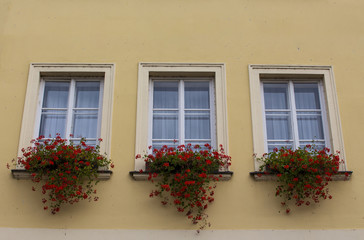 Beautiful windows with flower boxes