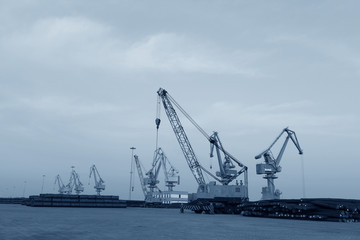 Many of the crane in work, in the cargo terminal