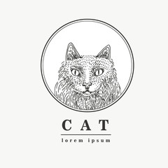 Cat illustration vector