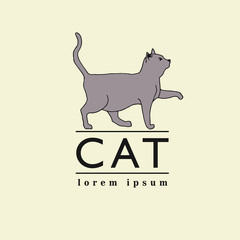 Cat illustration vector