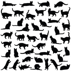 Cat collection - vector silhouette - obrazy, fototapety, plakaty