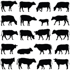 Cow collection - vector silhouette - 133375475