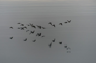Arctic landscape in Svalbard, Spitsbergen