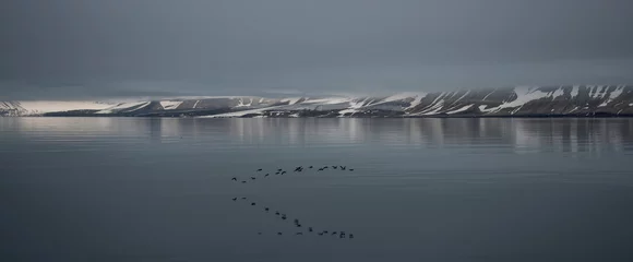 Foto op Plexiglas Arctic landscape in Svalbard, Spitsbergen © Alexey Seafarer