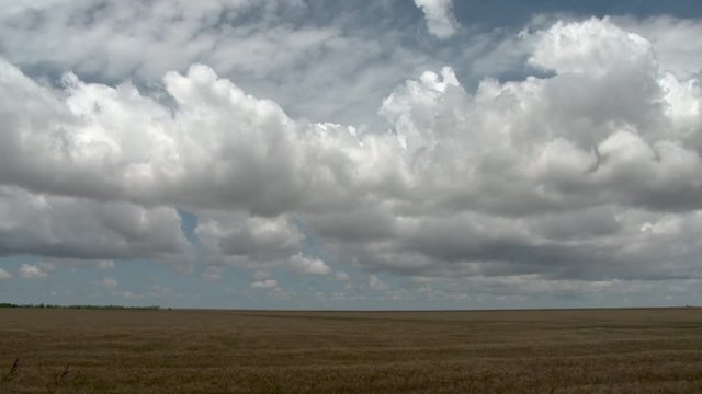 Clouds Boiling and Growing into Storm