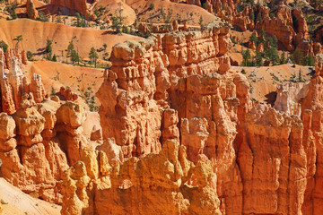 Bryce canyon