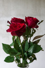 Still life bouquet red rose in vase.
