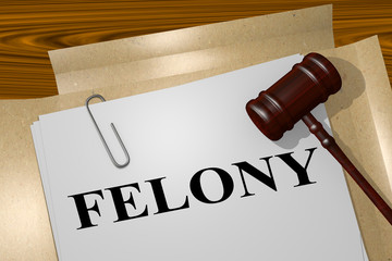 Felony - legal concept