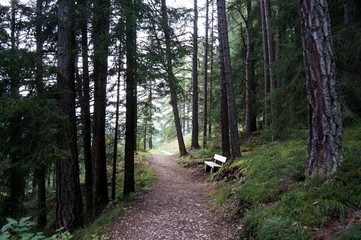 Wanderweg in St. Christina in Gr&ouml;den