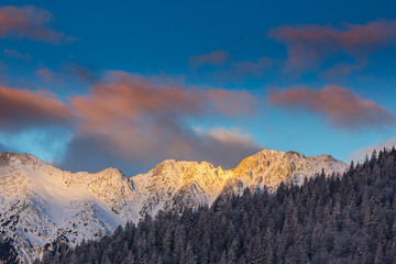 Sunrise in the mountains, with snow covered peaks and frost covered fir trees