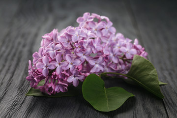 purple lilac flowers on old wood table, simple springtime photo