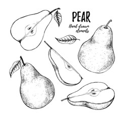 Hand drawn vector illustration - Set of slices pear, pears and leaves. Design elements in sketch style. Perfect for menu, cards, posters, prints, packaging etc
Sliced pears.