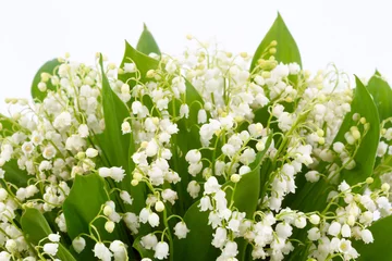 Papier Peint photo Muguet lilies of the valley isolated on white background.