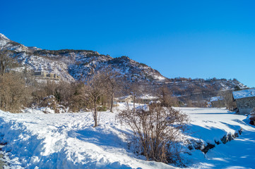 Fototapeta na wymiar Mountain lanscape with tree and snow under sun