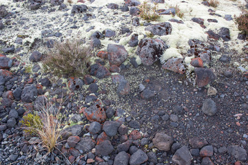Black volcanic rocks