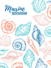 Hand drawn vector colorful illustration - Marine background. Design template with seashells. Perfect for invitations, greeting cards, posters, prints, banners, flyers etc