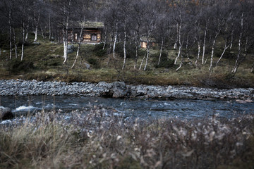 Hütte zwisschen Birken