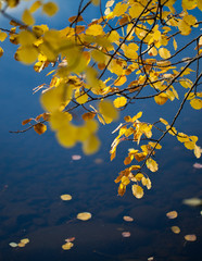 Autumn colors by the water