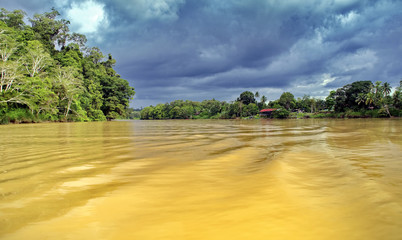 A life in a Kinabatangan river