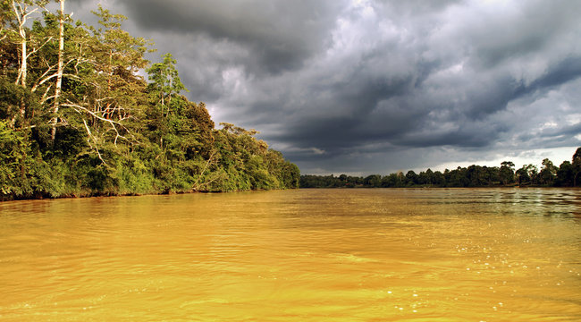 A Life In A Kinabatangan River