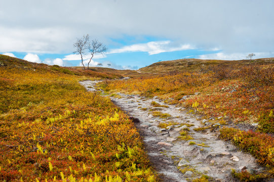Trail in a barren moorland valley in Alta, Finnmarksvidda mountain plateau, Norway