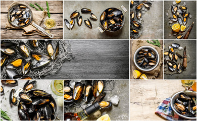 Food collage of clam .