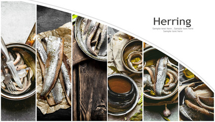 Food collage of herring .