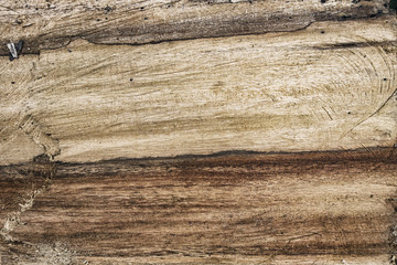 wood texture for grunge and raw background